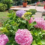 Apartman Milijana Rab