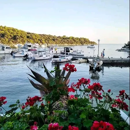 Milijana Rab Rab Town