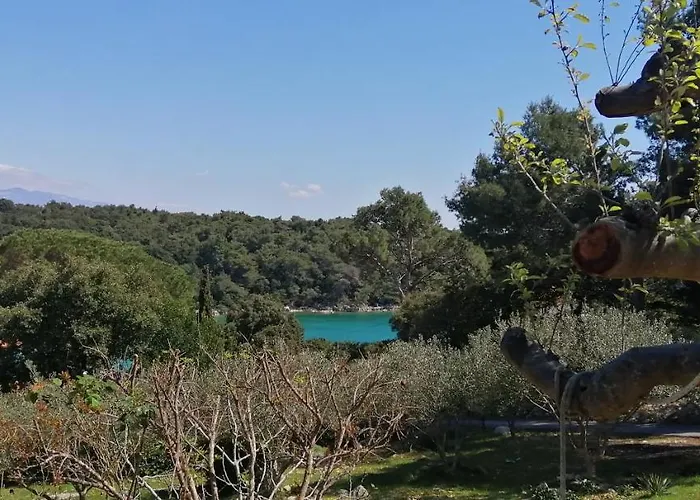 Milijana Rab 아파트